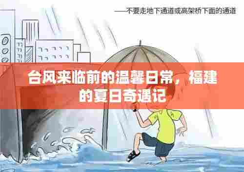 台风来临前的夏日奇遇,福建温馨日常