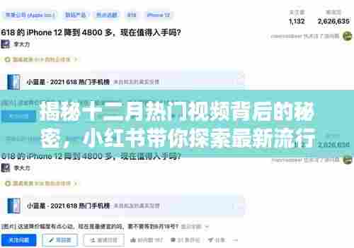 揭秘十二月热门视频背后的秘密,小红书引领最新流行趋势探索!
