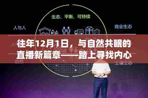 往年12月1日,与自然共眠的直播新篇章——探寻内心宁静之旅