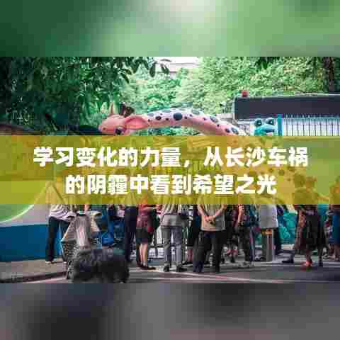 长沙车祸启示录,学习变化的力量,寻找希望之光