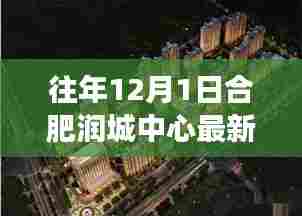 合肥润城中心最新动态及市场分析，历年12月1日综述