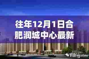 合肥润城中心最新动态及市场分析,历年12月1日综述