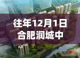 合肥润城中心最新动态及市场分析,历年12月1日综述