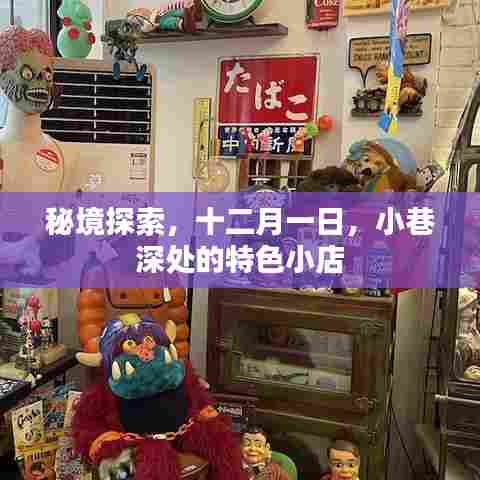 秘境探索,十二月一日踏足小巷深处的特色小店