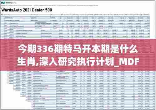今期336期特马开本期是什么生肖,深入研究执行计划_MDF25.308晴朗版