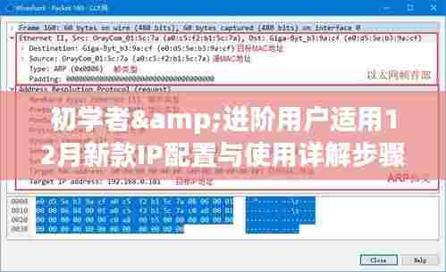 初学者与进阶用户指南,12月新款IP配置详解与使用步骤指南