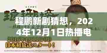 程鹏新剧猜想,深度解析即将热播于2024年12月1日的电视剧