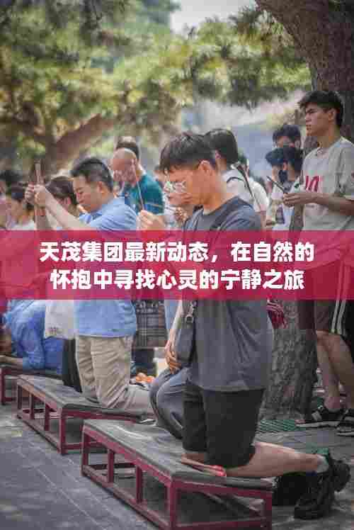 天茂集团自然之旅,心灵宁静的探寻