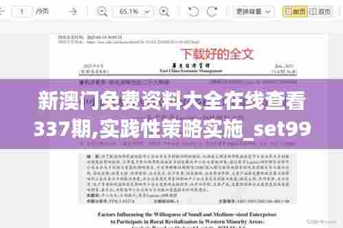 新澳门免费资料大全在线查看337期,实践性策略实施_set99.174-9