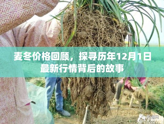 麦冬价格回顾,探寻历年12月最新行情背后的故事