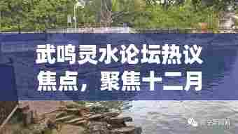 武鸣灵水论坛十二月首个热议日聚焦热议焦点