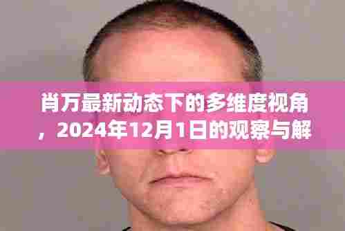 肖万最新动态的多维度解读,观察与剖析(2024年12月1日)