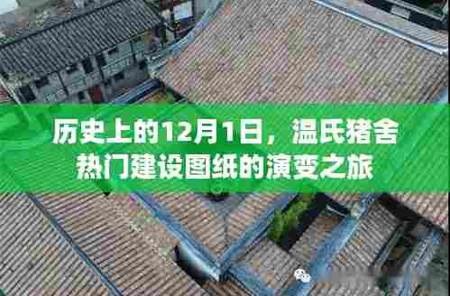 温氏猪舍建设图纸演变之旅，历史视角下的12月1日回顾
