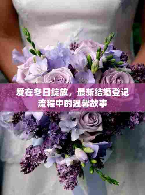 冬日结婚登记流程中的温馨爱情故事