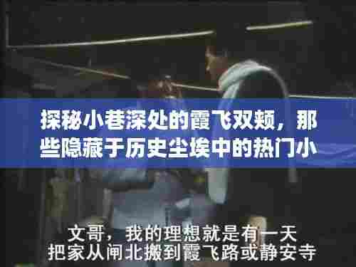 探秘小巷深处的霞飞双颊,历史尘埃中的热门小说故事揭秘