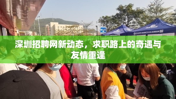 深圳招聘网最新动态，求职路上的重逢与友情的绽放