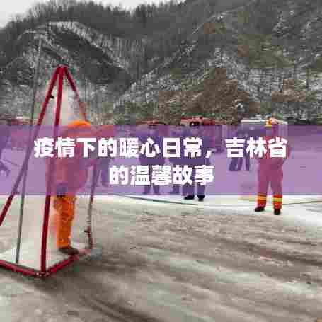 吉林省疫情下的暖心日常,温馨故事汇聚人心