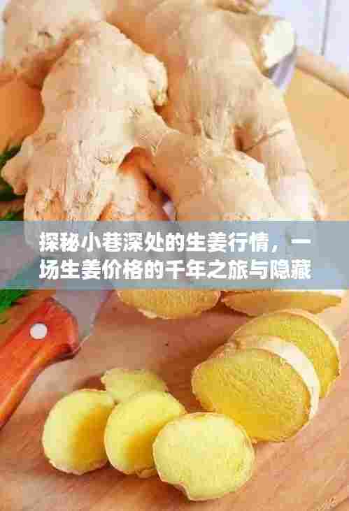 探秘小巷深处的生姜行情,千年之旅与美食奇遇的探寻之旅
