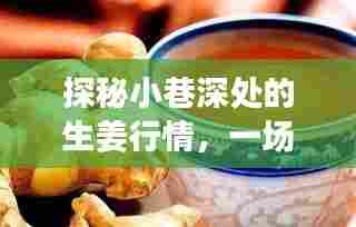 探秘小巷深处的生姜行情,千年之旅与美食奇遇的探寻之旅