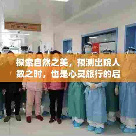 自然探索与心灵旅行的启程,预测出院人数之际的启示