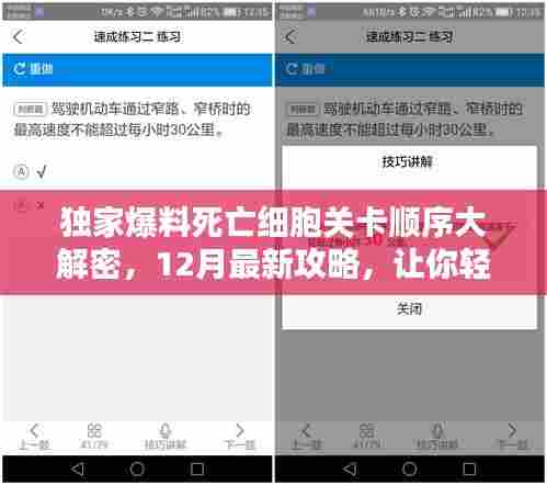 独家揭秘，死亡细胞关卡顺序攻略大解密，最新攻略助你轻松通关！