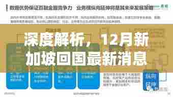 深度解析,新加坡回国最新消息综合评测与体验报告分享