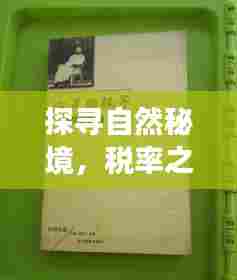 探寻自然秘境,税率之下的豆制品之旅的心灵净土探索