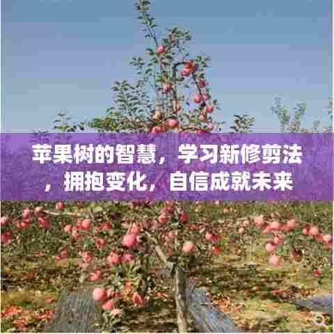 苹果树的智慧,学习新修剪法,拥抱变化,自信塑造未来