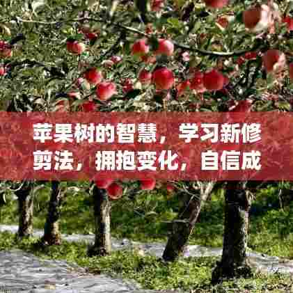 苹果树的智慧,学习新修剪法,拥抱变化,自信塑造未来