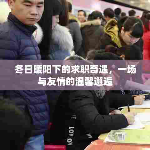 冬日暖阳下的求职奇遇,友情与温馨的邂逅