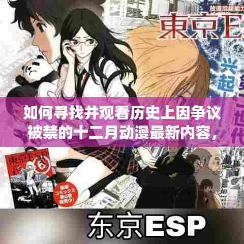 争议禁播动漫十二月新内容探寻指南,初学者与进阶用户必看