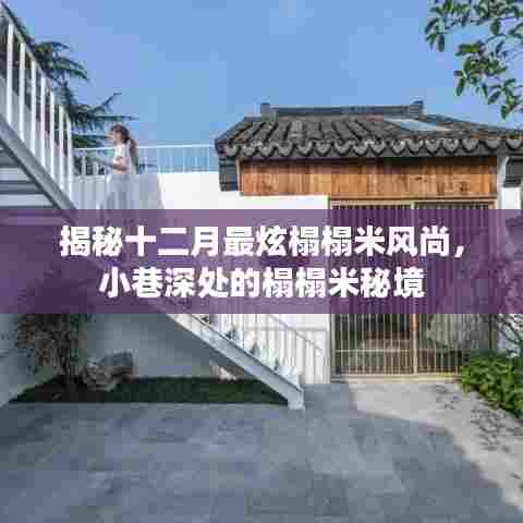 十二月榻榻米风尚揭秘，小巷深处的时尚秘境