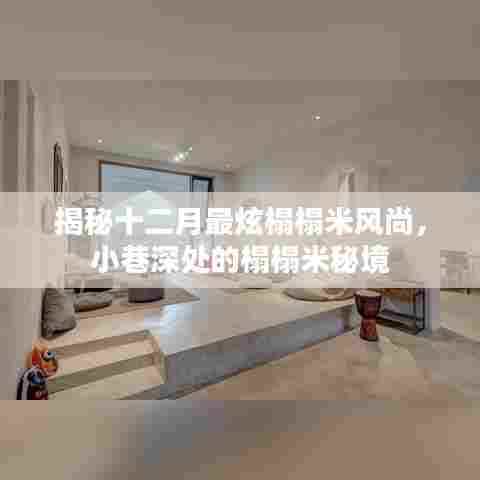 十二月榻榻米风尚揭秘,小巷深处的时尚秘境