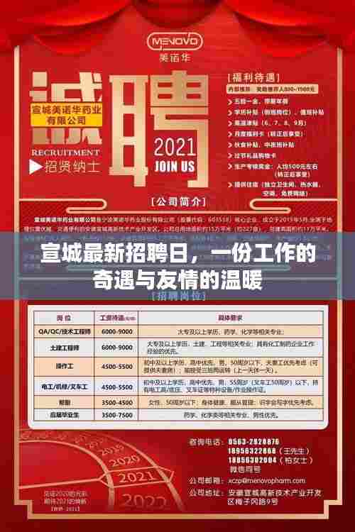 宣城最新招聘日,工作奇遇与友情的交织