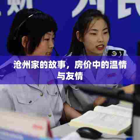 沧州家的故事,房价背后的温情与友情之旅