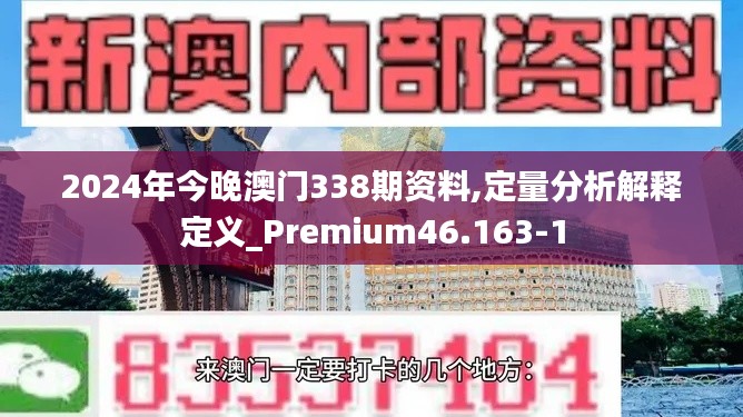 2024年今晚澳门338期资料,定量分析解释定义_Premium46.163-1