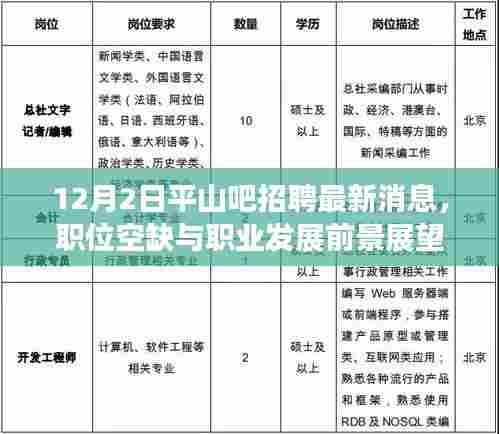 12月2日平山吧招聘最新消息,职位空缺与职业发展前景展望