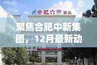 合肥中新集团12月最新动态深度解析