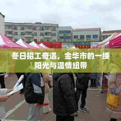 冬日招工奇遇,金华市阳光下的温情纽带