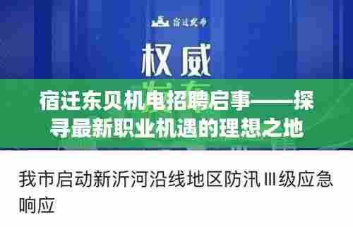宿迁东贝机电招聘启事,探寻职业机遇的理想之地