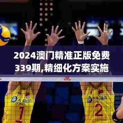 2024澳门精准正版免费339期,精细化方案实施_静态版118.463-7