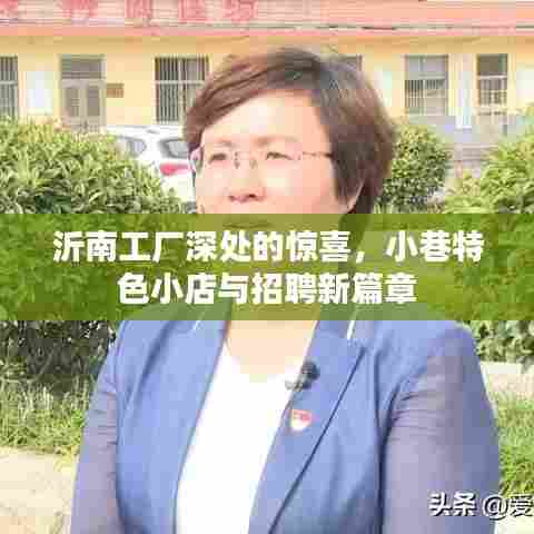 沂南工厂深处的秘密,小巷特色小店与招聘新篇章探索