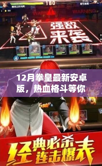 热血拳皇最新安卓版,挑战你的格斗极限