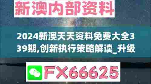 2024新澳天天资料免费大全339期,创新执行策略解读_升级版54.663-1