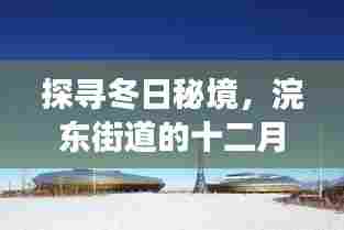 探寻冬日秘境，浣东街道十二月新规划自然之旅启动