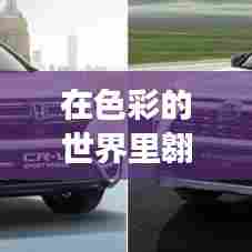 塑胶颜料之旅，色彩世界的翱翔与配色师的励志挑战