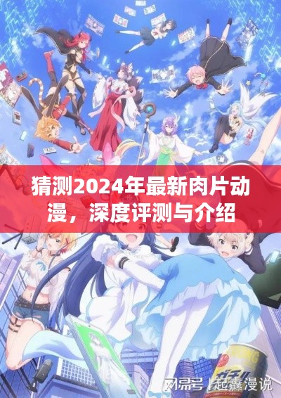 2024年最新肉片动漫猜想,深度评测与介绍
