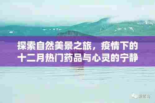 自然探索之旅与疫情下的药品热点，宁静心灵的十二月指南