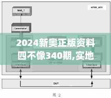 2024新奥正版资料四不像340期,实地评估解析数据_VE版20.204-1