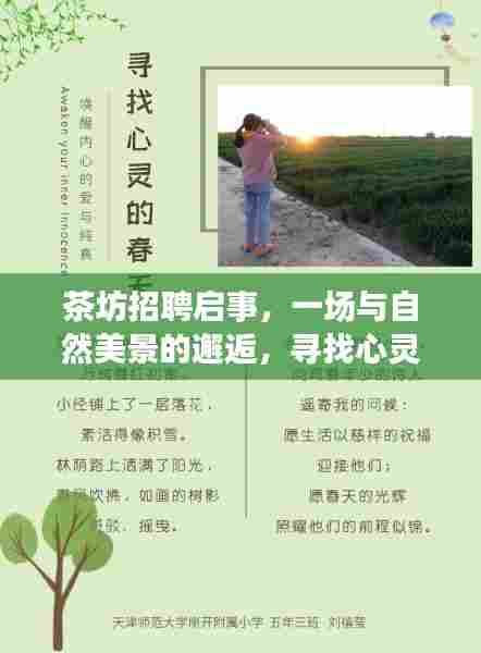 茶坊寻找心灵伴侣,与自然美景邂逅的招聘启事